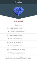 Sapphire Background Check image 3