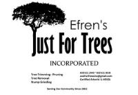 Efren's Just For Trees, Inc. image 3