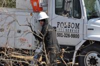 Folsom Tree Service image 2