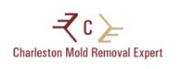Charleston Mold Removal Experts image 1