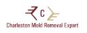Charleston Mold Removal Experts logo