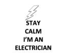 Best Indiana Electrician logo