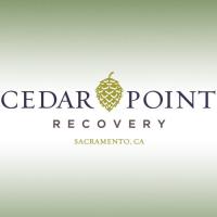 Cedar Point Recovery image 7