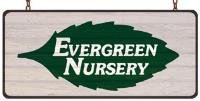  Evergreen Nursery image 1
