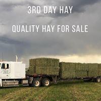 3rd Day Hay image 9