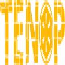 TENOP IT Solutions logo