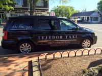 Tejedor Taxi Service INC image 1