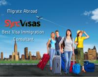 Sync Visas image 1