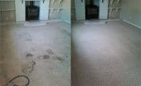 Simba Carpet Cleaning Services image 2