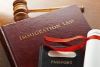 Afridi Immigration & Legal Services image 4