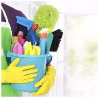 Diana Cleaning Service image 1