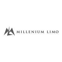 Millenium Limo  image 1