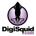 DigiSquid logo