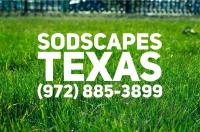 SodScapes Texas image 1