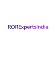 RORExpertsIndia image 5