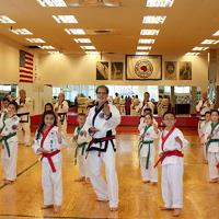 Tang Soo Karate and Iron Hand Boxing and Fitness image 1