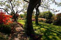 Elite Garden And Landscape image 3
