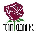 Team-Clean logo