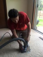 Wisconsin Rapids Carpet Cleaner image 3