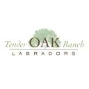 Tender OAK Labradors logo
