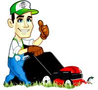 GoMow Lawn Care Services image 5