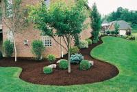Texas Landscaping Services image 1
