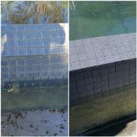 Specialties Aquatic Tile Cleaning image 2