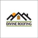 Divine Roofing logo
