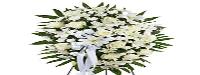 Funeral Flowers Delivery image 10