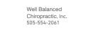 Well Balanced Chiropractic, Inc. logo