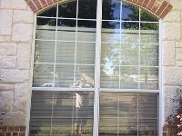 Alliance Window Cleaning image 3