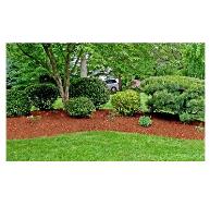 Garibay Lawn Care and Landscaping image 1