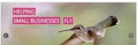 Hummingbird Web Design image 2
