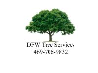 DFW Tree Services image 11