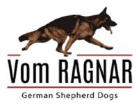 Vom Ragnar German Shepherds image 1