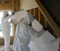 New Mexico Mold Removal image 1