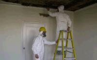 New Mexico Mold Removal image 2