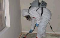 New Mexico Mold Removal image 3