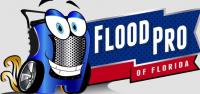 Flood Pro of Florida llc image 1