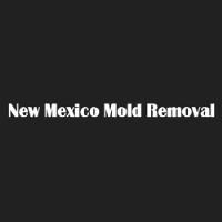 New Mexico Mold Removal image 6