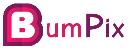 Bumpix logo