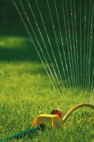 Mench's Sprinklers image 1