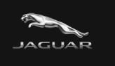 Jaguar Bethesda image 1