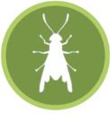 Lucky 7 Pest Control logo