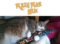 kittykickstix image 1