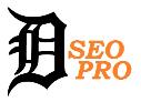 Detroit SEO Pro logo