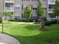 Ziehler Lawn and Tree Care image 1