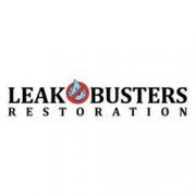 Leak Busters Restoration image 1