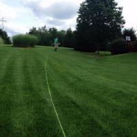 Green Pro Lawns image 2