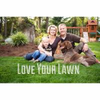 Green Pro Lawns image 3